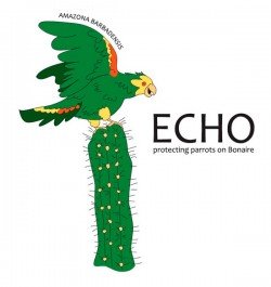 Echo Bonaire's happy Amazon logo